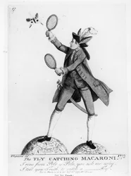 Den flugfångande makaronerna, graverad av Whipcord, pub. av N. Darly, 12 juli 1772